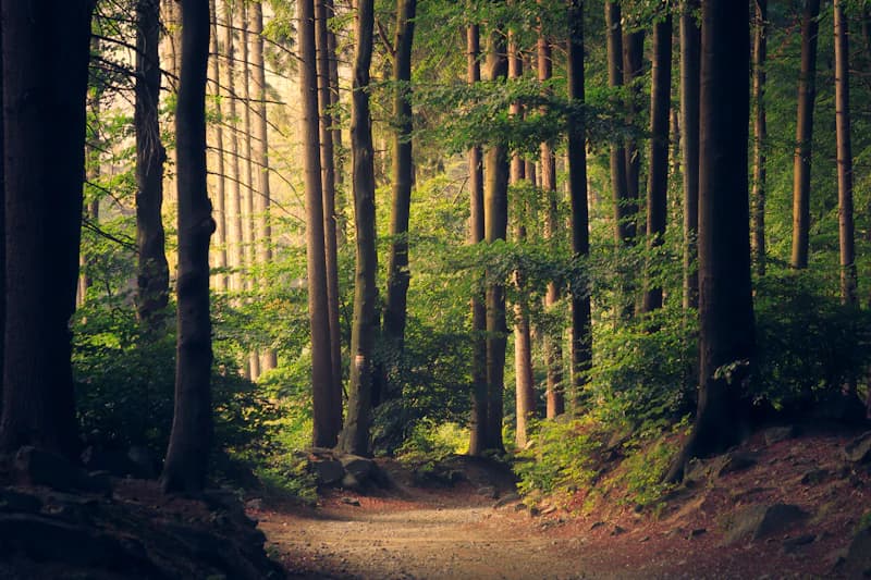 Parc National